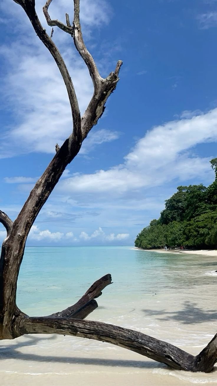 WhatsApp Image 2025 07 15 at 20.40.02_29669d2e