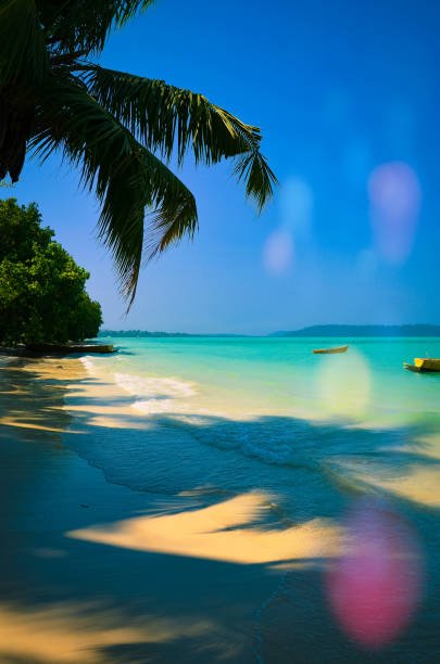 istockphoto 1302072956 612x612 1