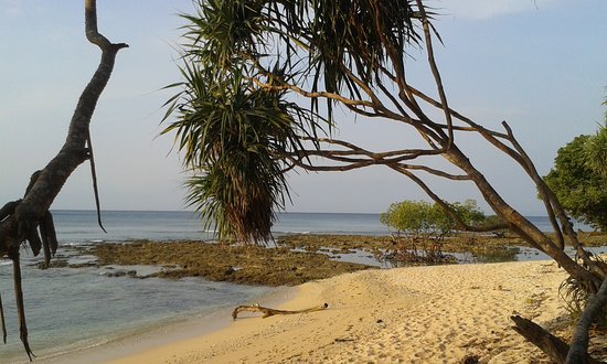 sun basked ramnagar beach